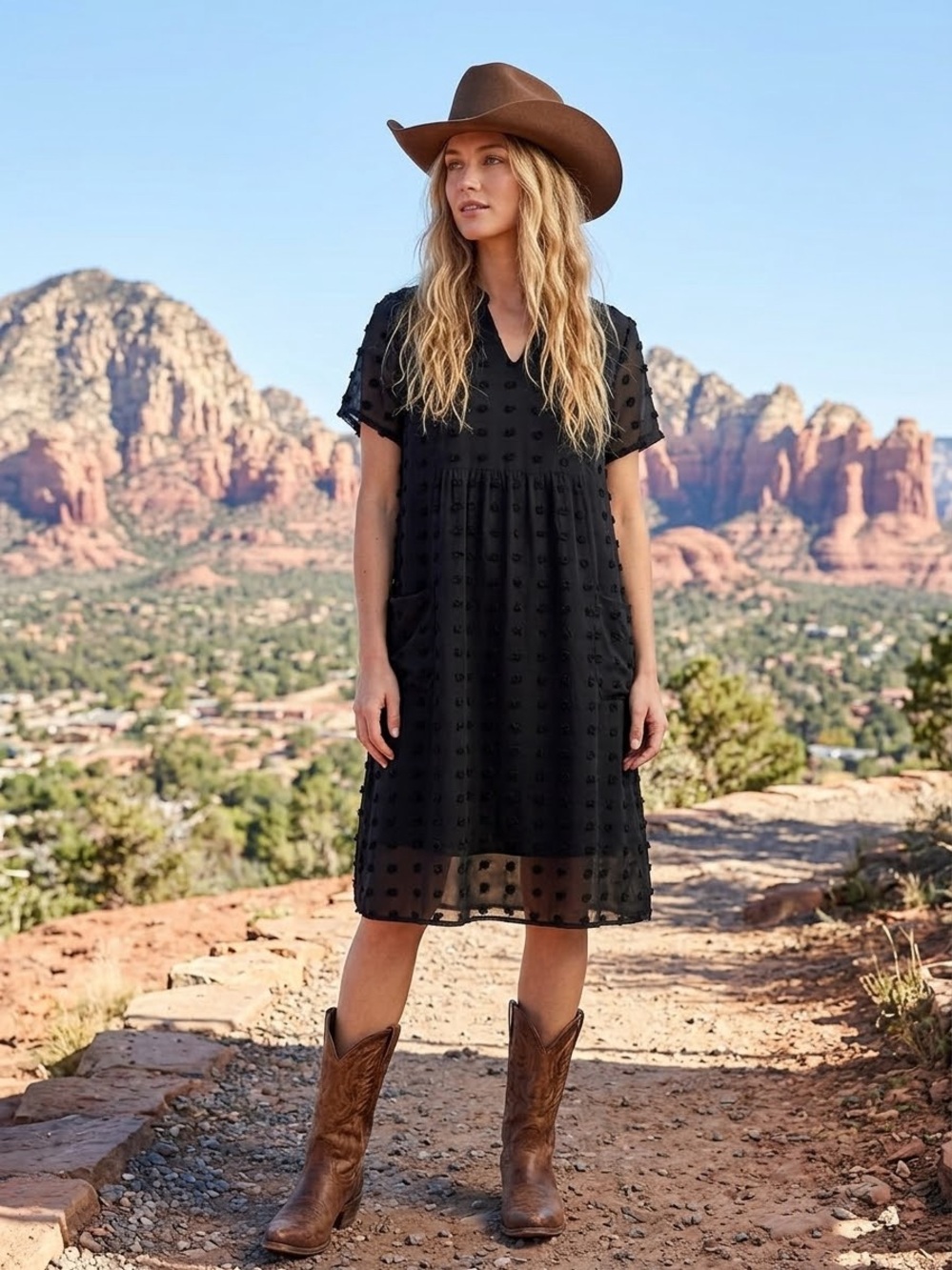 Black Swiss Dot V-Neck Short Sleeve Dress with Pockets